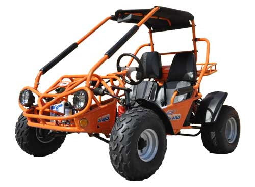 Trailmaster sales dune buggy